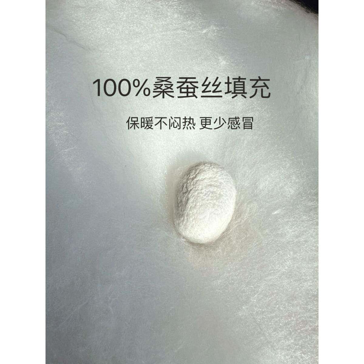 婴儿童蚕丝被100%桑蚕丝t被芯幼儿园被子宝宝空调被春秋被冬被定