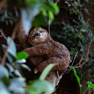 花园装饰 幼儿园树上装饰摆件庭院摆件户外园林彷真动物树懒挂件