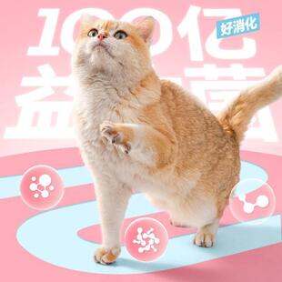 老疯杨实惠装全价通用猫粮流浪猫救助猫粮营养多猫家庭成猫幼猫