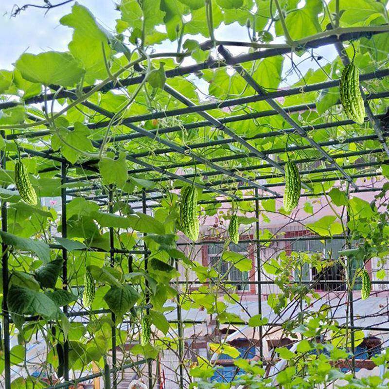 户外庭院葡萄架组装支架百香果苦瓜攀爬架铁艺棚架阳台植物爬藤架