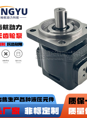 DAVID BROWN齿轮泵R1A4023H3A1A HYDRECO油泵P2B1623B1E5C液压泵