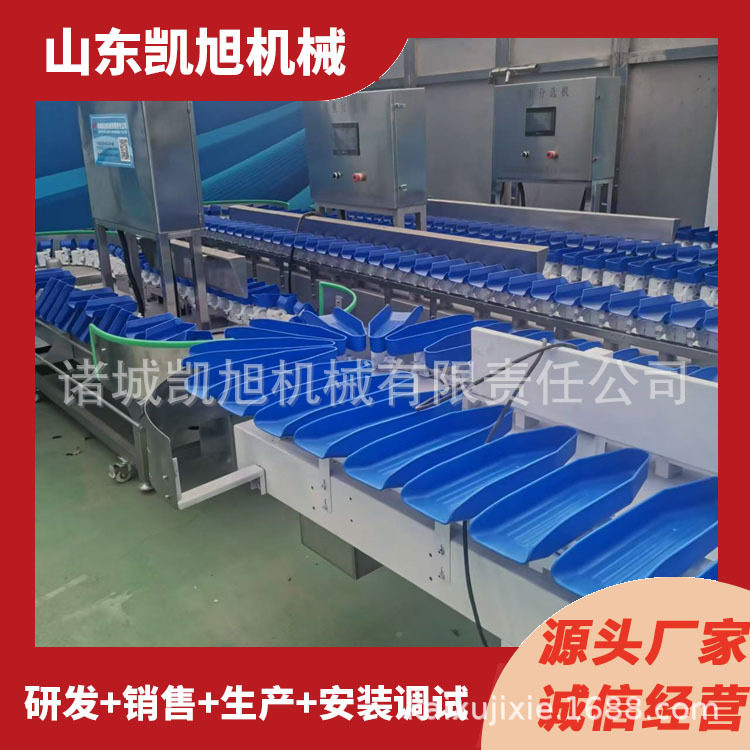 花牛苹果小型选果机马蹄全自动称重分拣机甜瓜香瓜重量分拣机