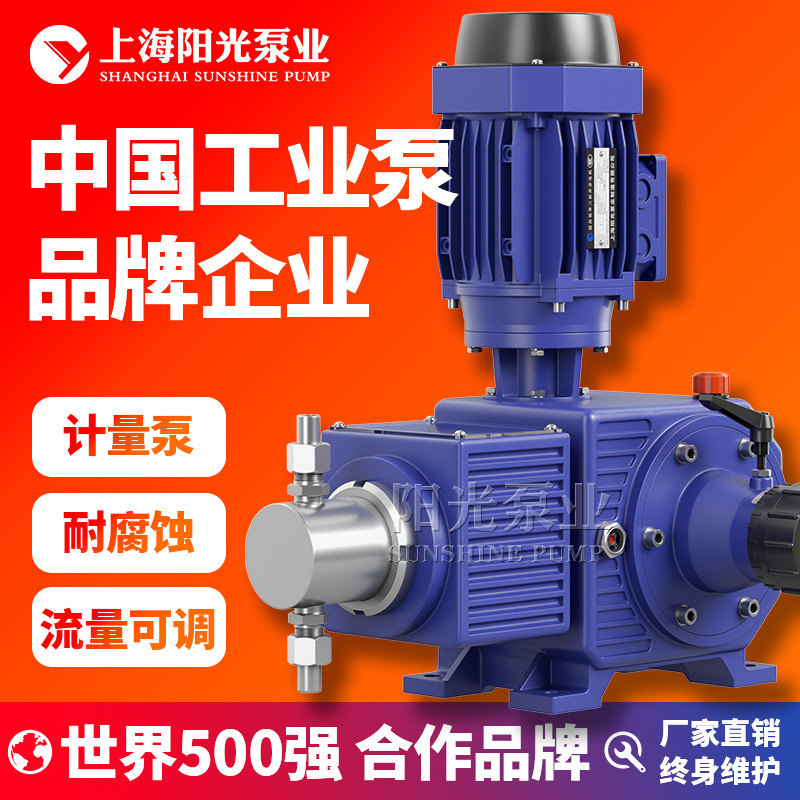 【定制】DZ-Z型柱塞式计量泵耐腐蚀耐酸碱计量泵活塞式计量泵