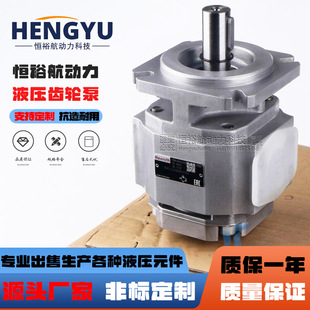 油泵Rexroth力士乐液压泵PGF3 025RE07VE4内啮合齿轮泵