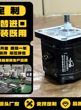 HENGYUHANG高压齿轮泵1PDF定制DUPLOMATIC齿轮泵Boden液压泵泵头