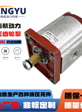 SALAMI齿轮泵2PB26D-G28P1-V-VS40萨拉米液压泵2PB6.2D-G28P1油泵