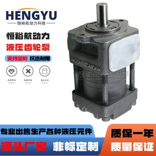 G50FNB5 液压泵折弯机齿轮泵NBZ2 C63NB4 NB3 G160F压力油泵 G16F