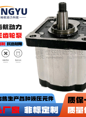 布雷维尼Brevini齿轮泵OT200P14D/G28P2 OT200P08D油泵 16D液压泵