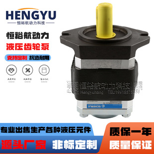 EIPC5 艾可勒ECKERLE齿轮泵EIPC3 125RA EIPC6 080液压泵 025RK23