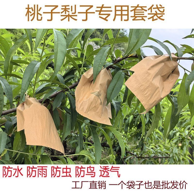 桃子专用套袋批发水蜜桃黄桃冬桃蟠桃黄金奈李水果套袋防水防虫