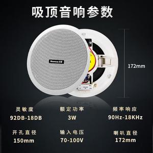 Newmine/纽曼 R15吸顶式音响箱议R15天客厅家用店铺装修背景音乐