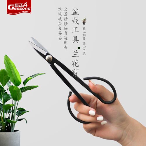 叶芽枝芽剪e兰花多肉盆栽造景剪锰钢防锈修枝剪花艺园艺剪