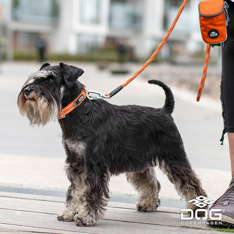 哥本哈根Style3.0嗨轻脖圈Dog Copenhagen狗项圈狗狗柴犬柯基泰迪