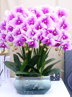 仿真花盆湿手感大蝴蝶兰NJJ客厅电柜装饰花餐厅保茶几花艺酒柜视