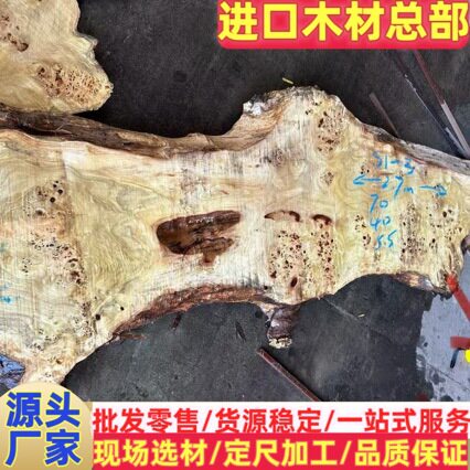 欧洲枫木 白杨树瘤 树瘤 大板 白杨树瘤 非洲花梨树瘤 刺猬紫檀树