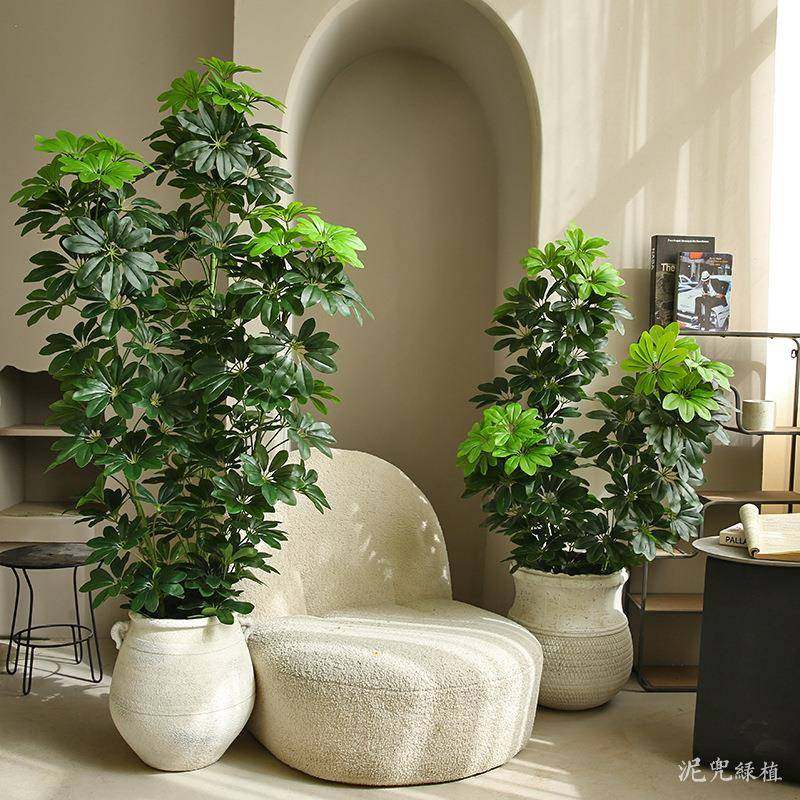仿真绿植加密鸭脚木大型落地仿真植物客厅商场橱窗造景假树盆栽,农用物资,其他肥料,淘宝优惠券,粉丝福利购,淘宝优惠卷