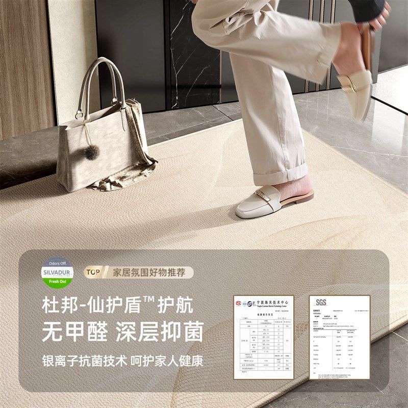 新款入户b门地垫奶油风轻奢高级简约地毯门垫家用意式防滑脚垫,居家布艺,入户地垫,淘宝优惠券,粉丝福利购,淘宝优惠卷