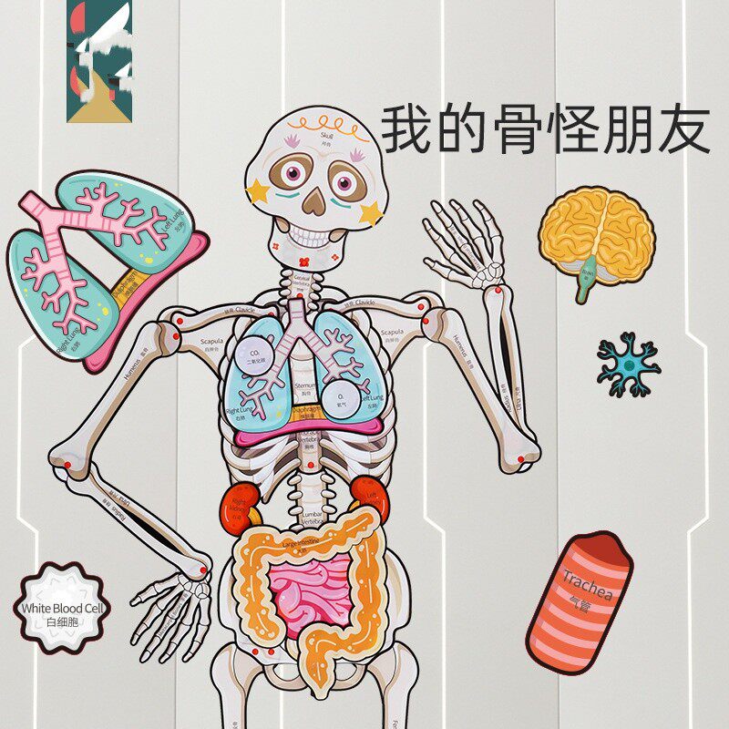 我的骨启蒙朋友拼图儿童人体骨架五脏身体部位益智玩具认知怪厂家