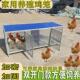 鸡笼子家用室外大号防雨饲养养殖隔断鸡鸭鹅新款 加大家禽笼防厂家