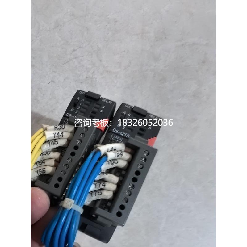 拍前询价（拍前询价）PLC模块D2-12TR 12TR原装拆机件 二手议价