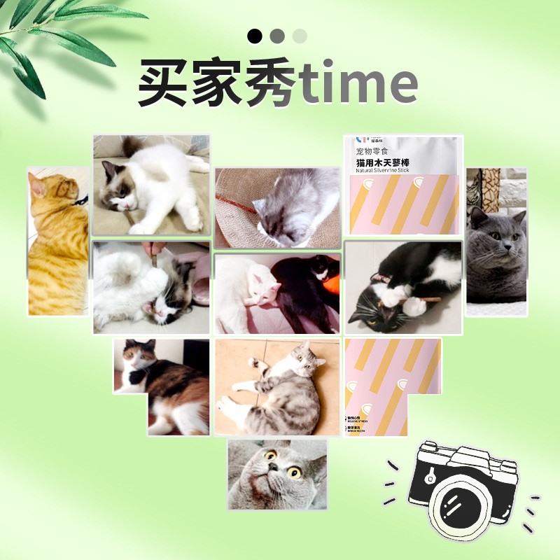 猫薄荷猫咪磨牙棒洁齿幼猫啃咬逗猫棒木天蓼奶猫小鱼干用品猫零食