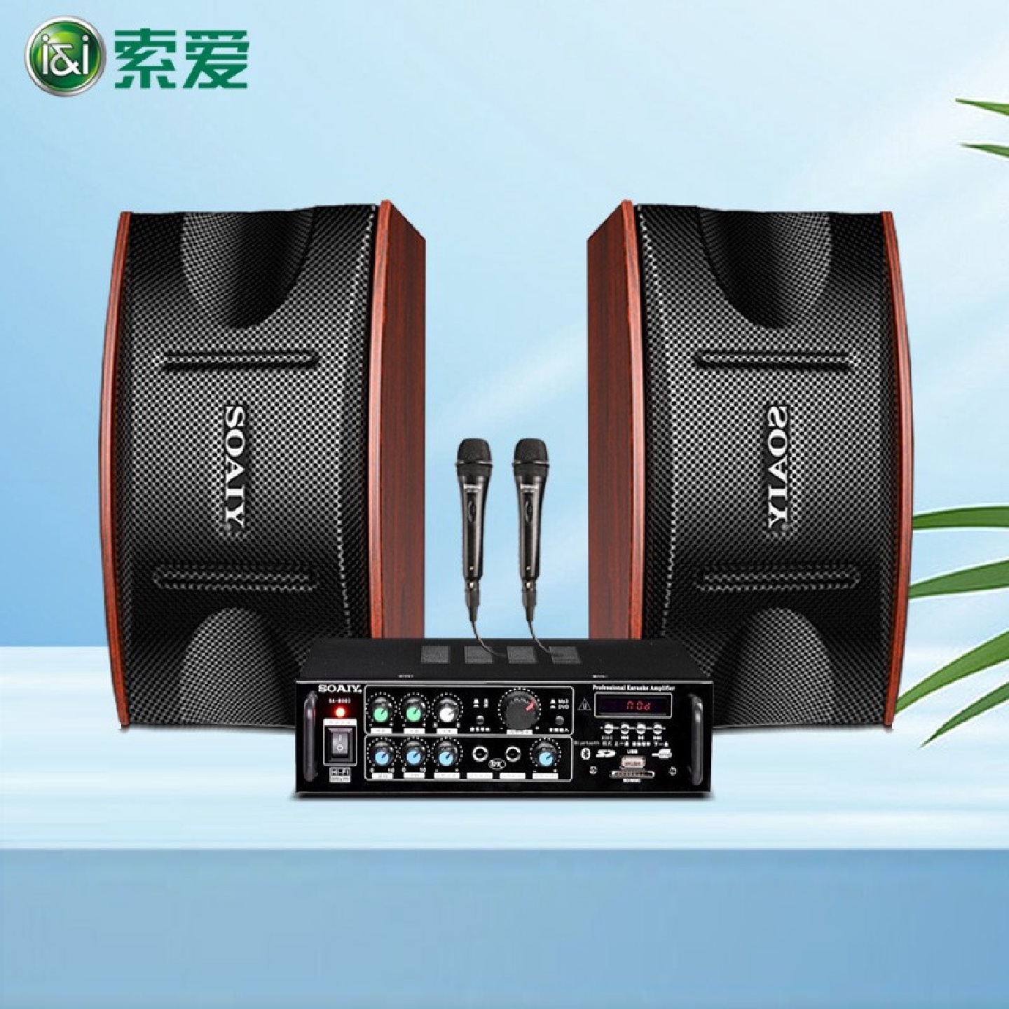 索爱（soaiy）家庭KTV音响套装会议专业音箱家用客厅电视k歌音箱