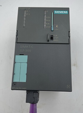SIEMENS 6ES7 3172AJ100AB0 CPU3172DP  PLC CONTROLLER MODULE U