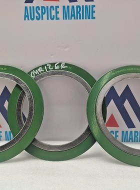 Optimet4英寸300316LGRAASME垫片批量3件