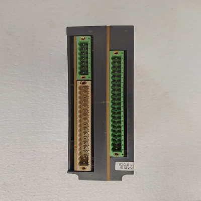 施耐德电气59716mes120g/MES120G14输入6输模块