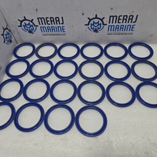 Scana 007.296.30 Sealing Ring 5063x6x3 LOT 22 PC