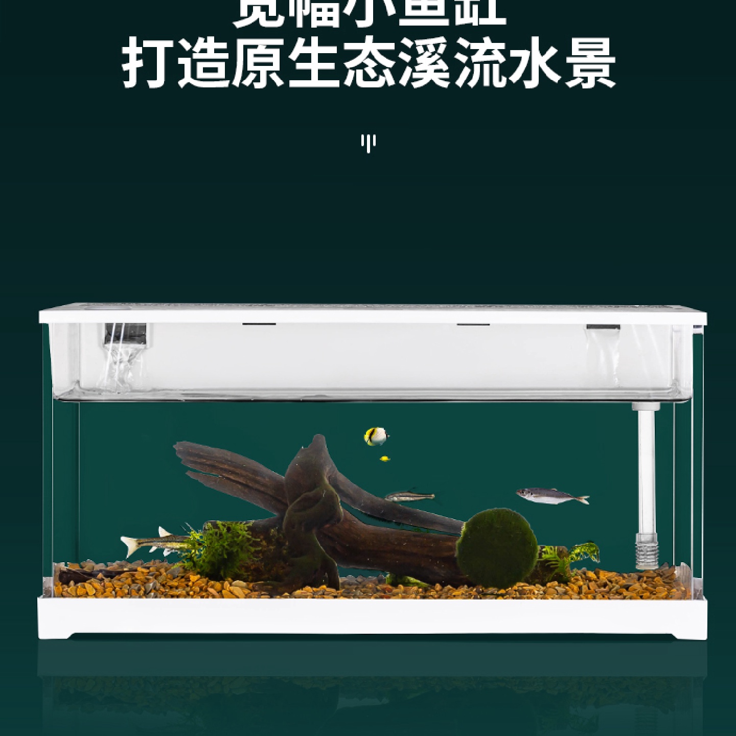 宽幅溪流鱼缸小型桌面原生态造景静音灯加热过滤亚克力水族箱鱼缸