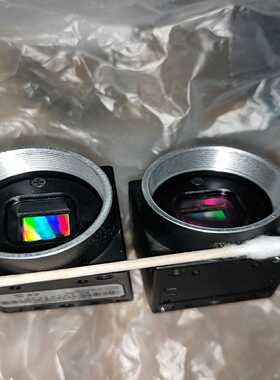 询价灰点相机PointgreyFL2G-50S5M-C和F