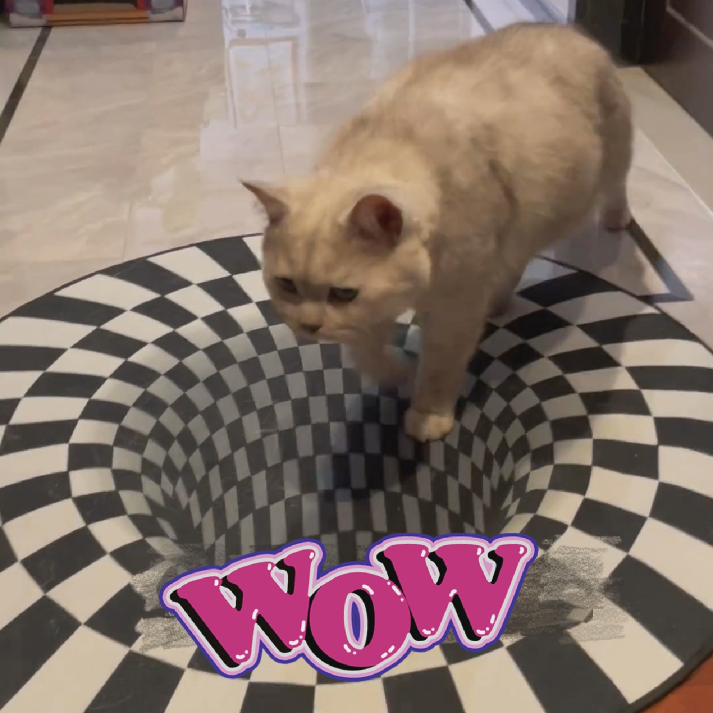 趣味入户门垫眩晕地毯养狗逗猫圆型地垫陷阱防滑垫透视黑白格子