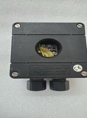 CONSILIUMSALWICOSW-1/EXHEATDETECTOR