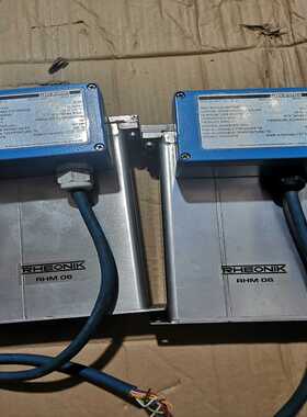 【议价】RHEONIK流量计RHM06GNTP-G12 拍