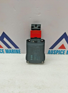 PizzatoFS2996D024-F3SafetyInterlockSwitch