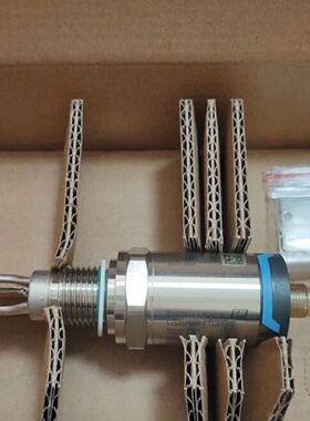 议价EndressHauser恩德斯豪斯FTL31