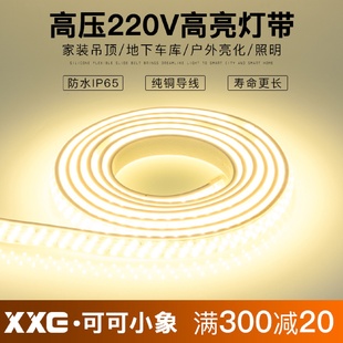 饰软灯条超亮三色变光户外防水软灯条 220V灯带led家用客厅吊顶装