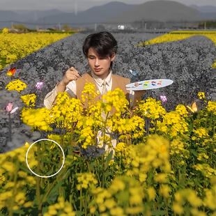 绘画万亩花田黄色油菜花田变色调色盘花海拍花拍照氛围感道具