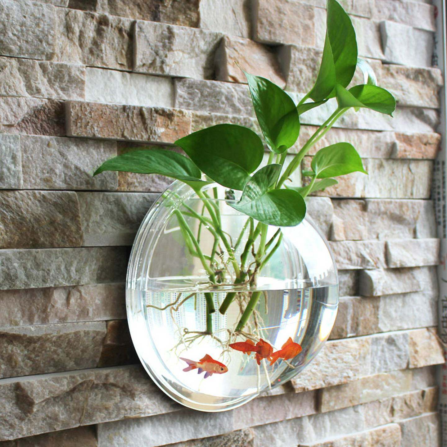 创意水养器皿透明壁挂水培花盆悬挂挂墙挂壁绿萝圆形花瓶植物居家
