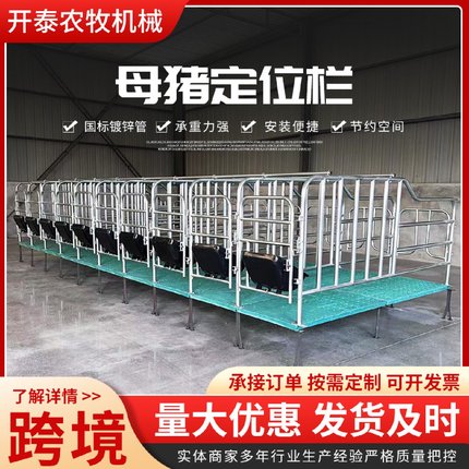 母猪定位栏限位栏猪圈栏位猪用复合漏粪板母猪产床保育限位栏