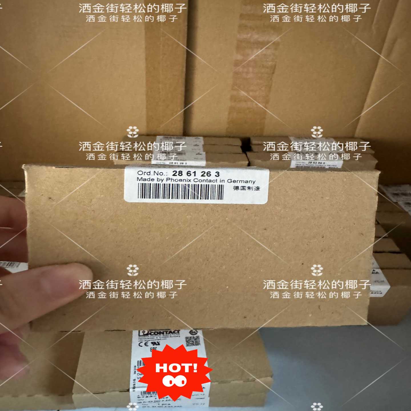 询价2861263，IBIL24DO2-2A-PAC，p