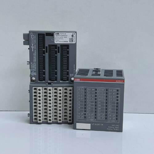 ABB AX521 D2 Analog Eingang Leistung Modul 1SAP250100R0001TU