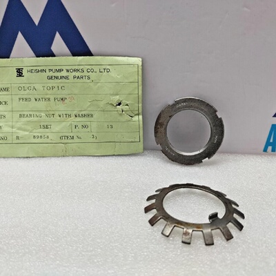 Heishin Pump Works Co 89858 Dado Di Cuscinetto Con Rondella