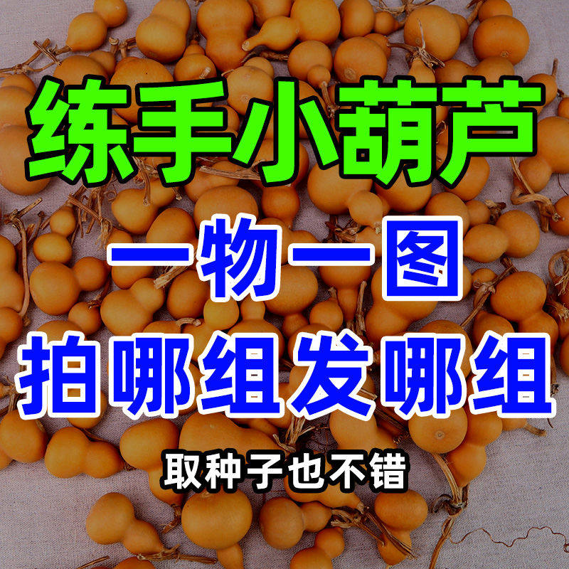 天然文玩葫芦手把件异形胖墩小美国手捻挂件摆件瑕疵练手雕刻