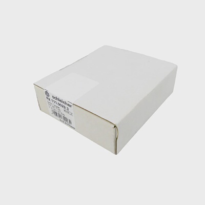 SCHLEICHER KPT 11 KD Zeitrelais R2.111.0029.3 sealed