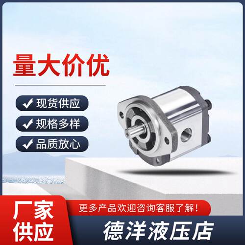 寻德国CONCENTRIC齿轮泵WP09A1SZSKH191001L系列液压油泵液压马达
