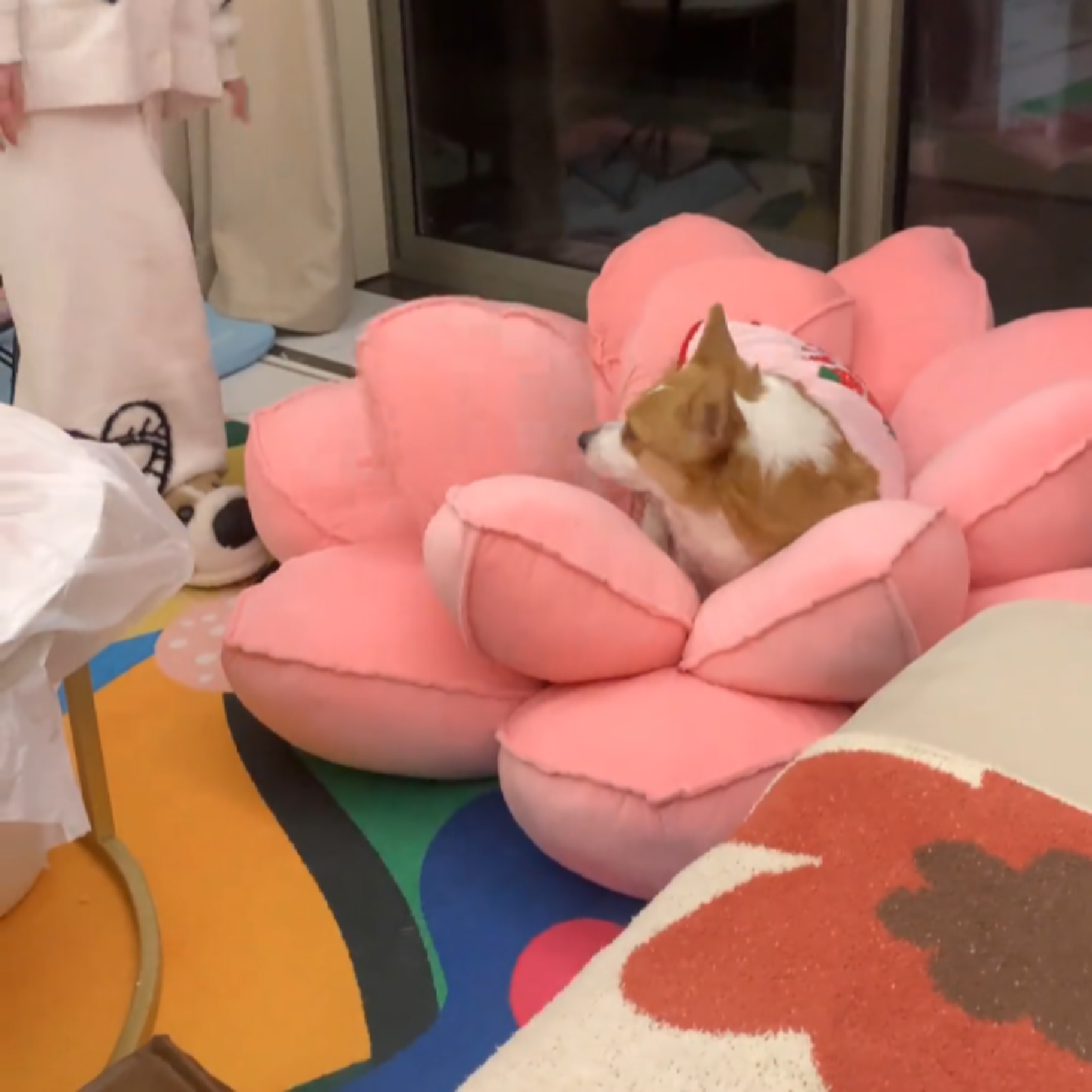 莲花宝座坐垫好运莲莲搞怪屁垫办公室沙发懒人打坐墩蒲团沙雕礼物,居家布艺,蒲团,淘宝优惠券,粉丝福利购,淘宝优惠卷