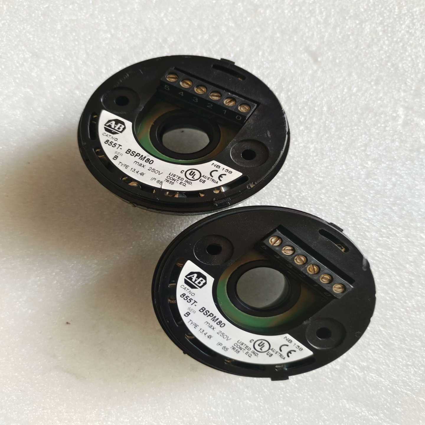 询价~AB罗克韦尔 855T-BSPM80，实图二只，成色