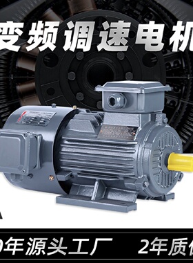 寻IYVF调速电机三相异步交流电动机1118.5kw223045千瓦变频电机